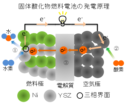 固体酸化物燃料電池（SOFC）の発電原理